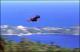 Filmstrip Thumbnail