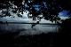 Filmstrip Thumbnail