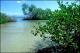 Filmstrip Thumbnail