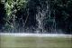 Filmstrip Thumbnail