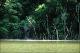 Filmstrip Thumbnail