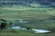 Filmstrip Thumbnail