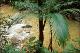 Filmstrip Thumbnail