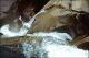 Filmstrip Thumbnail