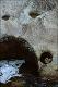 Filmstrip Thumbnail