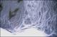 Filmstrip Thumbnail