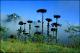Filmstrip Thumbnail