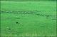 Filmstrip Thumbnail