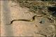 Filmstrip Thumbnail