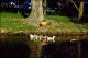 Filmstrip Thumbnail