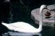 Filmstrip Thumbnail