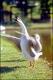 Filmstrip Thumbnail
