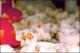 Filmstrip Thumbnail