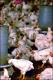 Filmstrip Thumbnail