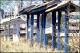 Filmstrip Thumbnail