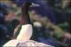 Filmstrip Thumbnail
