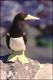 Filmstrip Thumbnail