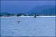 Filmstrip Thumbnail