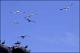 Filmstrip Thumbnail