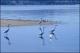 Filmstrip Thumbnail