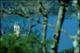 Filmstrip Thumbnail
