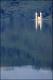 Filmstrip Thumbnail