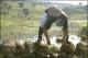 Filmstrip Thumbnail