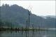 Filmstrip Thumbnail