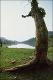 Filmstrip Thumbnail