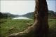 Filmstrip Thumbnail