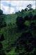 Filmstrip Thumbnail