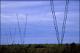 Filmstrip Thumbnail