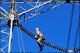 Filmstrip Thumbnail