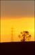 Filmstrip Thumbnail