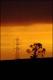 Filmstrip Thumbnail