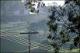 Filmstrip Thumbnail