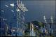 Filmstrip Thumbnail