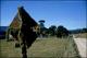Filmstrip Thumbnail