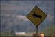Filmstrip Thumbnail
