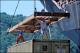 Filmstrip Thumbnail