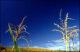 Filmstrip Thumbnail