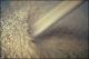 Filmstrip Thumbnail