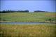 Filmstrip Thumbnail