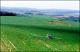 Filmstrip Thumbnail