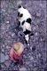 Filmstrip Thumbnail