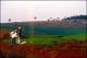 Filmstrip Thumbnail