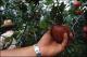 Filmstrip Thumbnail