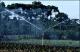 Filmstrip Thumbnail