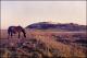 Filmstrip Thumbnail