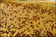 Filmstrip Thumbnail